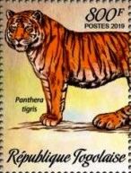 Panthera tigris