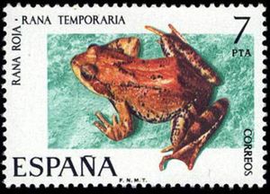 Stamp: European Common Frog (Rana temporaria) (Spain(Hispanic fauna ...