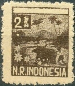 Farmer and Oxen in Rice Paddy