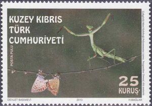 European Mantis and Common Blue