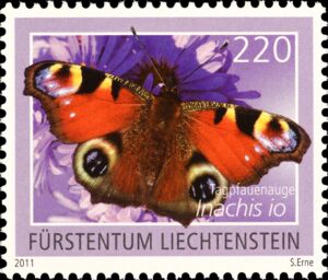 European peacock (Inachis io)