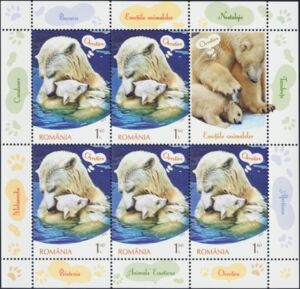 Polar Bears and Tenderness