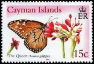 Queen Butterfly (Danaus gilippus) 