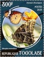 Danaus chrysippus, Morpho menelaus