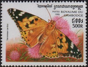 Painted Lady (Vanessa cardui)