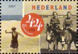 Donkeys With Swimsuits From The Past