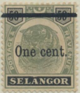 Tiger (Panthera tigris)