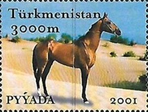 Stamp: Akhal-Teke Horse (Equus ferus caballus) - Pyyada (Turkmenistan