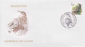 Grimpereau Des Jardins