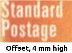 Karoo Violet (Aptosimum procumbens) - Suid-Afrika