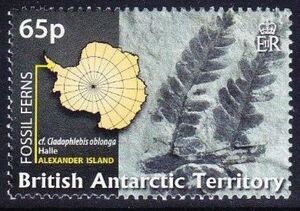 Alexander Island - Cladophlebis oblonga