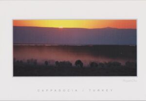 Sultan Sazlığı kuş Rezervasyonu - Sultan Sazlığı bird reservation