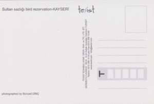 Sultan Sazlığı kuş Rezervasyonu - Sultan Sazlığı bird reservation