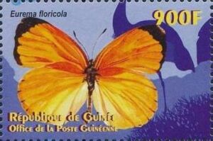 Stamp Eurema floricola (Guinea(Philanippon '01 Butterflies (2001