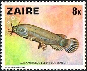 Stamp: Electric Catfish (Malapterurus electricus) (Zaire(Fish (1978 ...