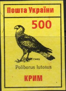 Falcon Poliborus Lutosus