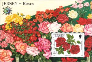 Roses - Overprint