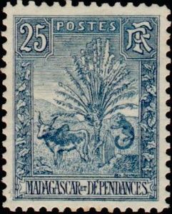 Traveller's Tree and Zebu