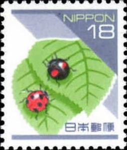Seven-Spot Ladybird (Coccinella septempunctata)