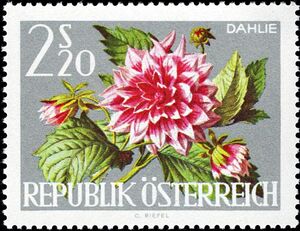 Austrian Dahlia stamp