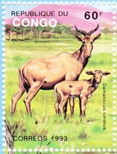 Damaliscus lunatus (see Description)