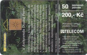 Phonecard: Orchid Ascocenda Duang Porn. (SPT Telecom, Czech ...
