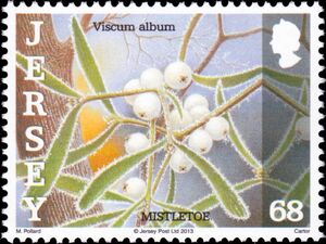 Stamp: European Mistletoe (Viscum album) (Jersey(Frosts and nature) Mi