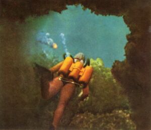 Sticker: Los misterios de las profundidades submarinas - Sticker nº 28