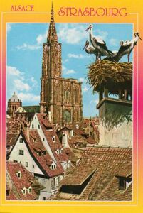 Strasbourg Cathedral