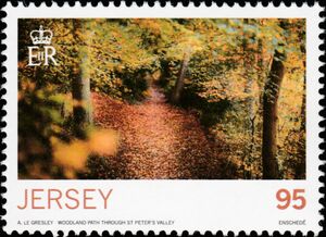 Woodland Path Through St Peters Valley