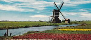 Holland. Land of Flowers and Wind-mills