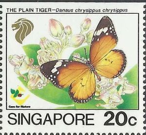 Plain Tiger (Danaus chrysippus chrysippus)