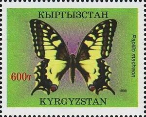 Swallowtail (Papilio machaon)