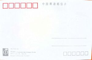 Camelus bactrianus ferus