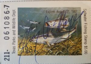 Brown trout (Salmo trutta)