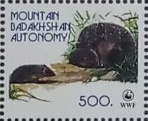 WWF Mountain Badakhshan Autonomy
