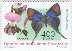 Common Fig-tree Blue (Myrina silenus)