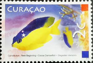 Cocoa Damselfish (Stegastes variabilis) - 2015