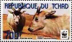 Addax (Addax nasomaculatus)