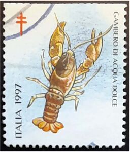 Antituberculous Campaign