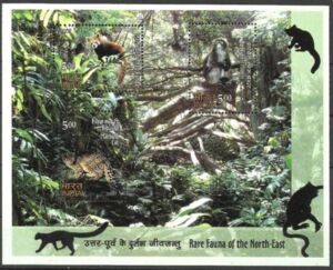 Rare Fauna of the North-East