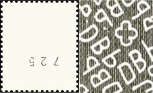 Albrecht Dürer (1471-1528), painter and graphic artist