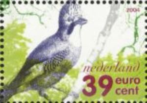 Eurasian Jay (Garrulus glandarius)