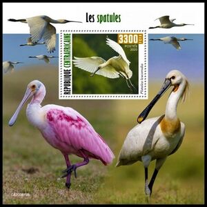 Spoonbills