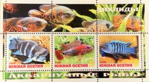 Aquarium Fishes - Cichlids