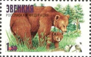 Brown Bears