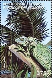 Iguana iguana