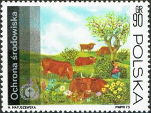 Grazing Cows