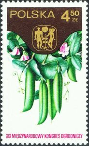 Peas (Pisum sativum)