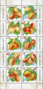 Apricots (Armeniaca vulgaris) mini sheet